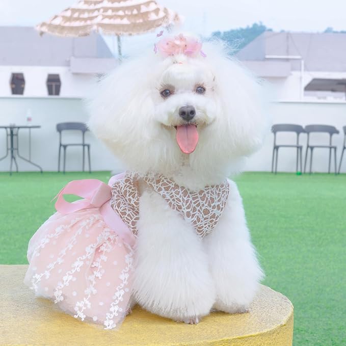 CuteBone Dog Birthday Dress Girl Puppy Skirt Tutu Cat Wedding Outfit Pet Party Clothes for Small Dogs Costume DD23XXS