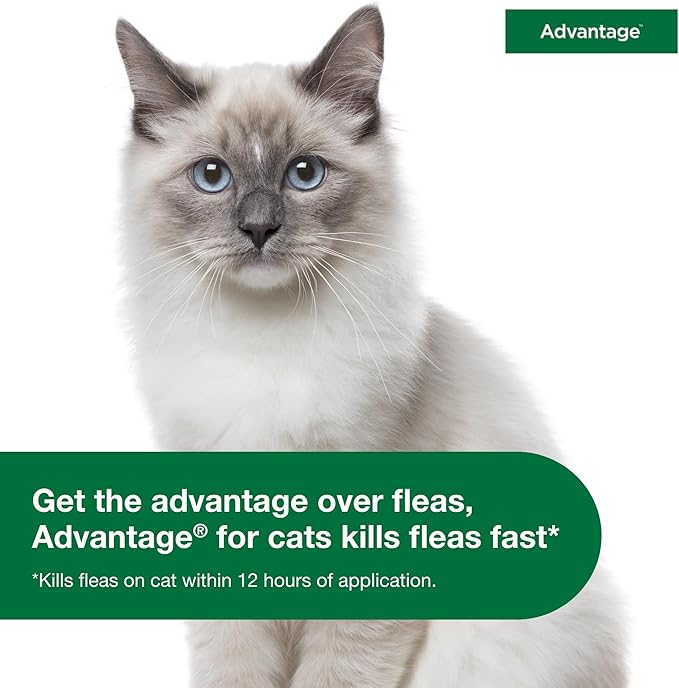 Advantage Topical Cat Flea Treatment and Prevention for Small Cats 2-9 lbs. | Apply Flea Drops Monthly | 2 Treatments