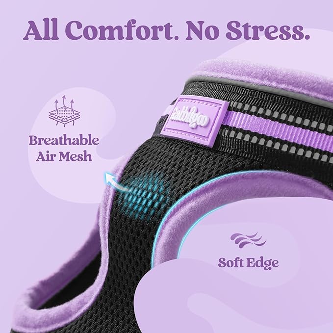 rabbitgoo Cat Harness and Leash Set for Walking Escape Proof, Adjustable Soft Kittens Vest with Reflective Strip for Cats, Comfortable Outdoor Vest, Black & Light Purple, M