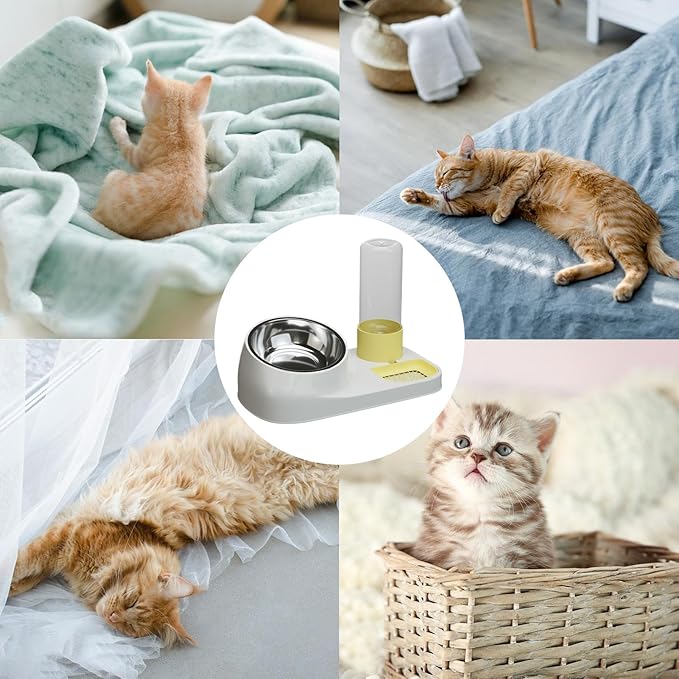 Automatic Cat Feeder and Water Dispenser, 2-in-1 Non-Slip Stainless Steel Pet Bowl for Dry Food & Water, Ergonomic Design for Natural Eating Posture, Easy Clean Dog Cat Puppy Food Container