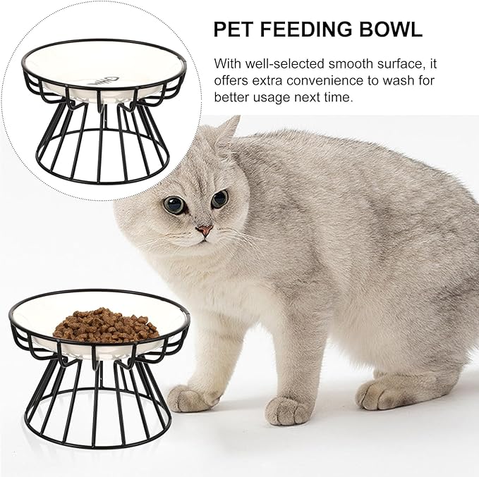 TOYANDONA Elevated Ceramic Cat Bowl Set with Neck Guard, Non-tip Black Iron Rack, Fishbone Plate Design for Indoor Pet Feeding and Watering