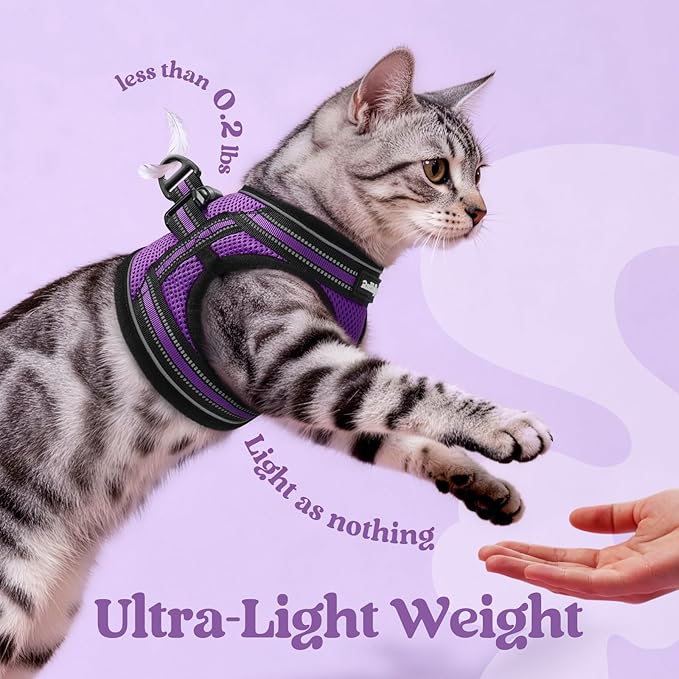 rabbitgoo Cat Harness and Leash Set for Walking Escape Proof, Adjustable Soft Kittens Vest with Reflective Strip for Cats, Comfortable Outdoor Vest, Purple, S