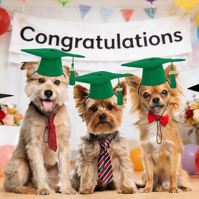 JULMELON Class of 2026 Graduation Cap with Tassel for Pets Cat Graduation Caps Adjustable Mini Black Hat for Small Dogs Cats Graduation Party Celebrations Pet Accessory