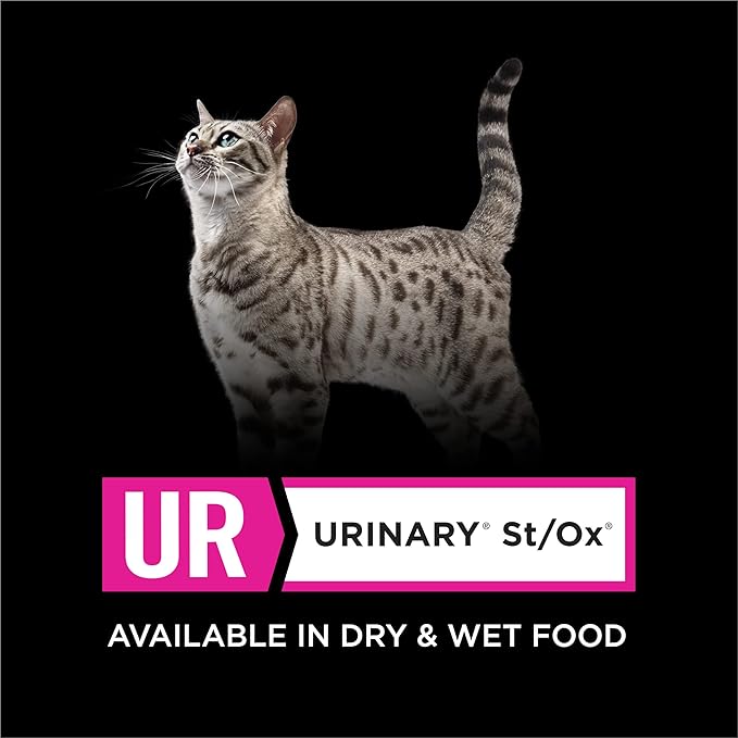 Purina Pro Plan Veterinary Diets UR Urinary St/Ox Feline Formula Wet Cat Food - (Pack of 24) 5.5 oz. Cans