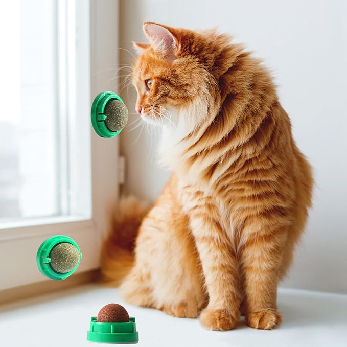 3PCS Catnip Balls for Cats Wall Edible Cat Toys with Catnip Silvervine Gall Fruit Flavors for Cat Lick Safe Teeth Cleaning Dental Cat Toys