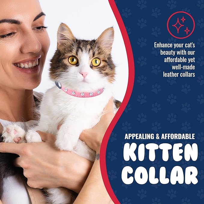 Studded Cat Collar, Genuine Leather Kitten Collar, Sturdy Breakaway Cat Collar with Bell and Elastic Stretch, Cat Accessories, Bubblegum Pink, 10 x 1/2 inches - Angel Pet Supplies