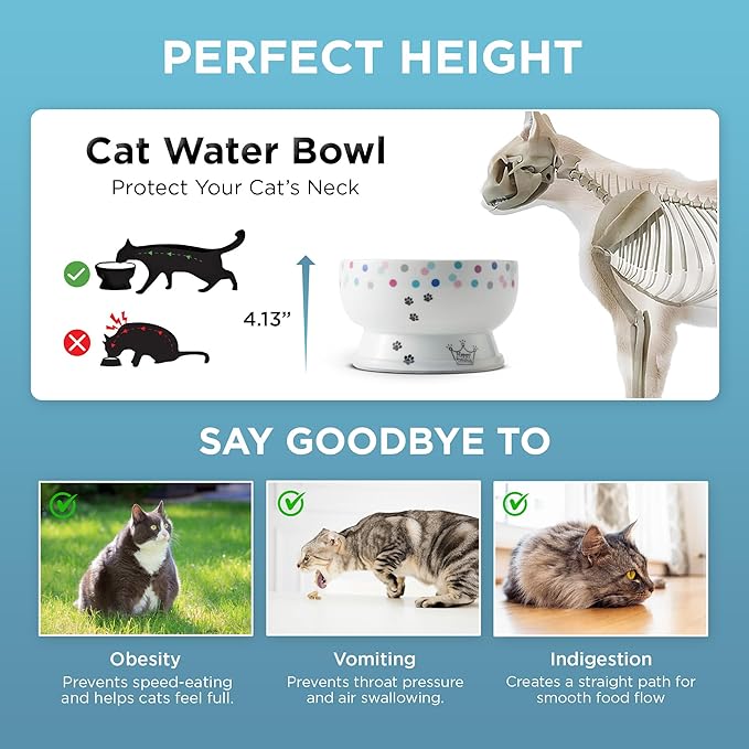 Necoichi Elevated Cat Water Bowl – Ceramic Raised Cat Bowl, Prevents Neck & Whisker Fatigue – Dishwasher & Microwave Safe – Pet Water Bowl for Cats (Colorful Dots, Regular)