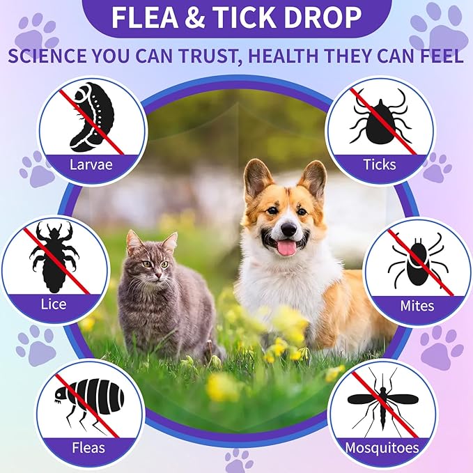 WEALLIN Flea and Tick Prevention Support Drop for Dogs & Cats + 200 Chews for Cats | Pets Oral Natural Supplement Flea and Tick Treatment for All Breeds and Ages