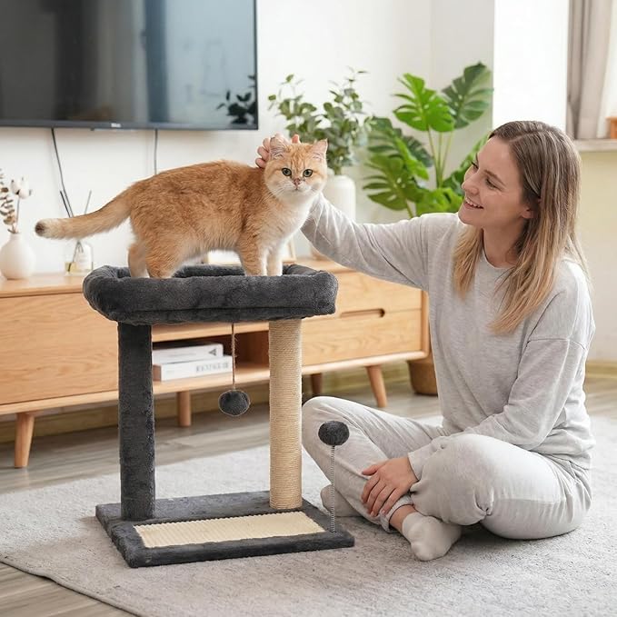 Cat Scratching Post, 19.69" H(50cm) Cat Tree with Cat Bed, Scratching Posts for Indoor Cats with Two Plush Balls Toy, Small Cat Tree for Kittens/Cats Playing and Relaxing (20 in Grey Cat Tree)