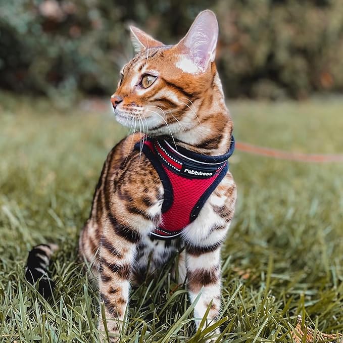 rabbitgoo Cat Harness and Leash Set for Walking Escape Proof, Adjustable Soft Kittens Vest with Reflective Strip for Cats, Comfortable Outdoor Vest, Red, M