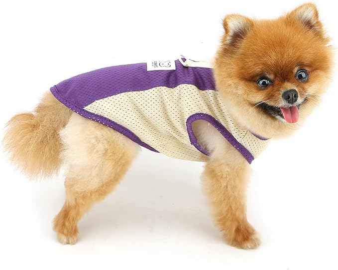 PAIDEFUL Breathable Mesh T-Shirt for Small Dogs Summer Doggie Cool Vest Soft Lightweight Puppy Tee Shirts Sleeveless Pet Tank Top Sweatshirts Cozy Chihuahua Clothes Cat Apparel D-Ring,Purple,XL