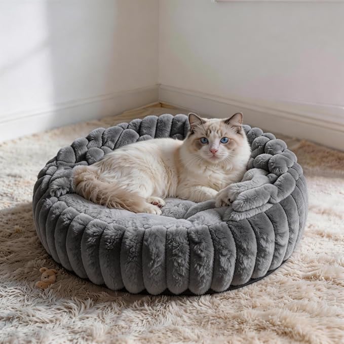 Cat Beds for Indoor Cats, 2 in 1 Cat Cave Bed Kitten Bed for Small Pets, Small Dog Bed with Cover, Pet Bed for Puppy and Kitten with Anti-Slip Bottom-Dark Gray-20 inches