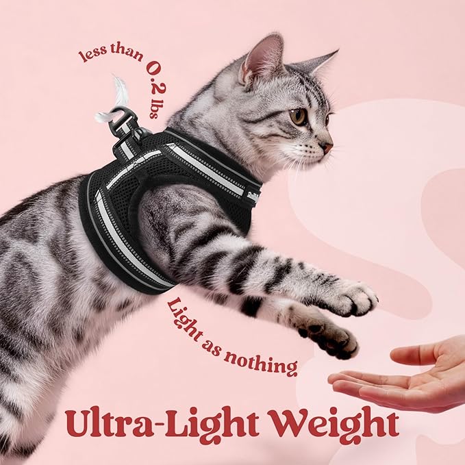 rabbitgoo Cat Harness and Leash Set for Walking Escape Proof, Adjustable Soft Kittens Vest with Reflective Strip for Cats, Comfortable Outdoor Vest, Black, XL