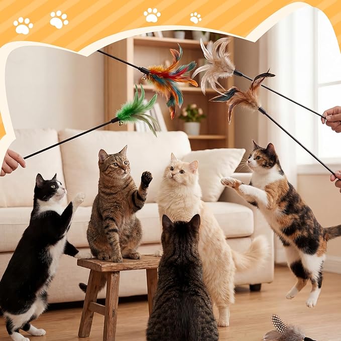 Leitee 50 Pcs Cat Wand Toy Feather Stick Cat Toy Bulk Feather Toys and Teaser Wand Bulk Interactive Stick for Indoor (Mixed Color)