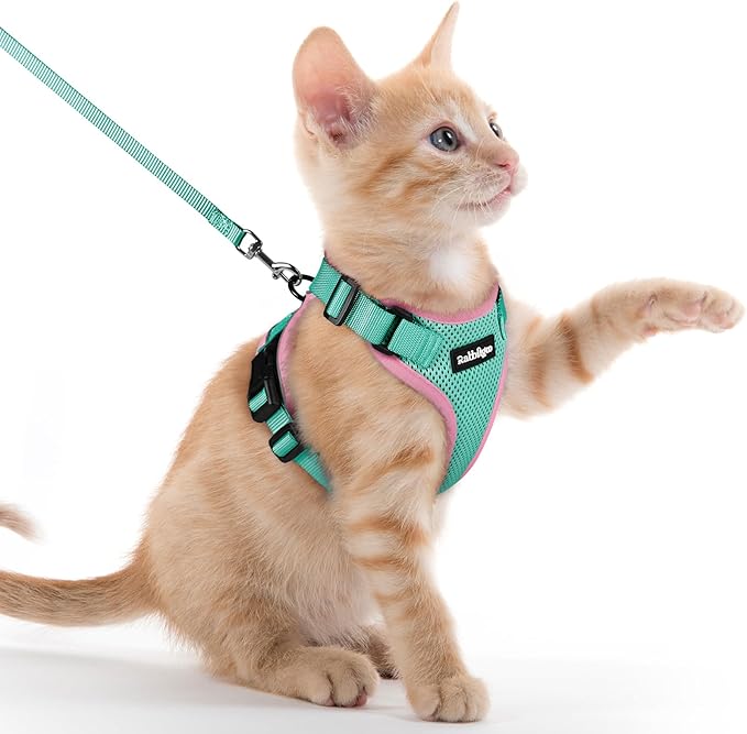 rabbitgoo Cat Harness and Leash