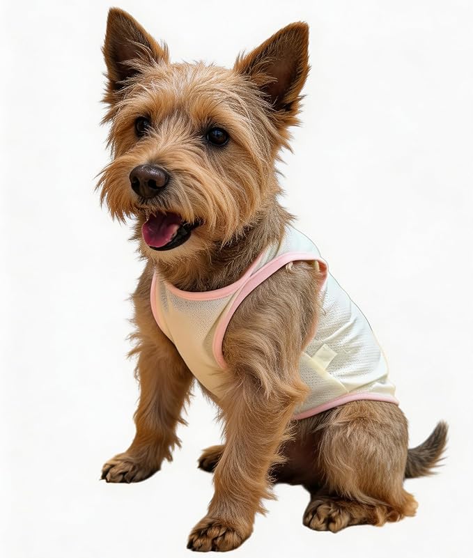 2Pcs Cooling Shirts for Small Dogs, Sleeveless Dog Vest, Lightweight Breathable Dog Summer Tank Top Sun Protection Shirts for Dogs Cats Pet Apparel (Pink Yellow, Small Size for 3.0-5.5lb Pets)