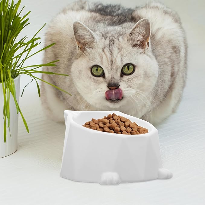 Beavorty Ceramic Elevated Cat Bowl with Neck Support Anti-Spill Raised Pet Food Dish for Indoor Cats White Single Piece and Small Dogs
