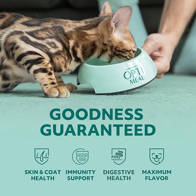 Optimeal Wet Cat Food Variety Pack - Grain Free Tender Morsels, High Protein Premium Nutrition Made with Natural European Ingredients in Savory Gravy, Adult Cat Food Wet Pouches 3oz Pouch (Pack of 12)