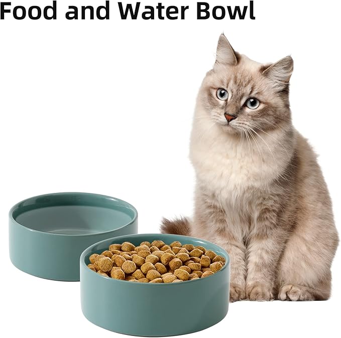 Havniva Cat Bowls Water Bowl Set of Two, 5.1” Ceramic Cat Food and Water Bowl Whisker Friendly Pet Food Bowls for Indoor Cats, Wide Cat Water Dish Prevent Whisker Fatigue Non Slip Cat Feeder