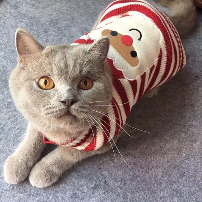Cat Sweater Christmas Santa Claus Pet Cat Winter Knitwear Warm Clothes X-Small