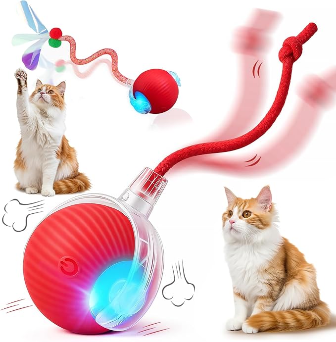 Interactive Cat Toy Ball - 3 LED Modes Motion Activated, Elastic Mesh Tail Type-C Rechargeable Self-Playing Toy for Bored Indoor Cats Kittens, Ideal Gift for Cat Lovers (Red)