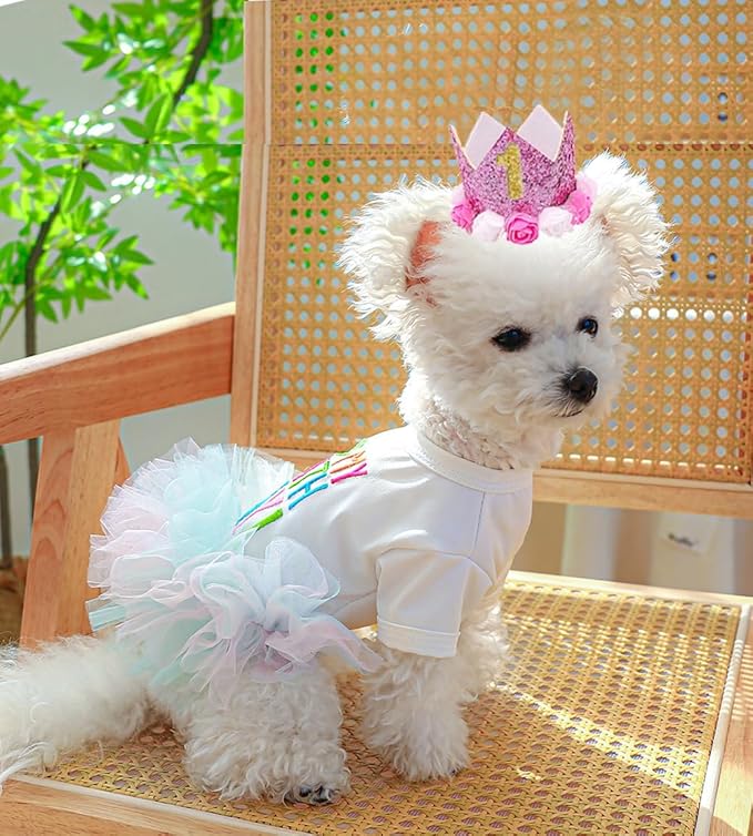 ANIAC Dog Birthday Dress and Hat Set Puppy Lace Tutu Pink Pet Crown Hat with 0-9 Figures Birthday Outfit for Cats Small Dog (White+Pink, Small)