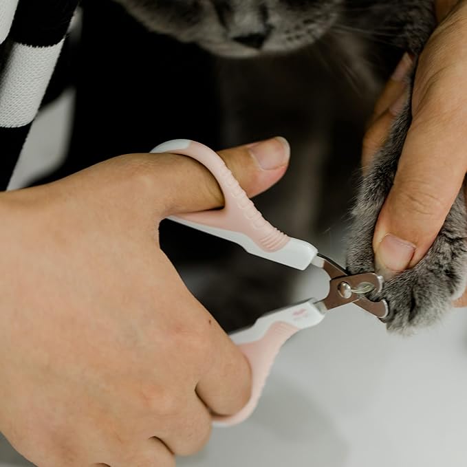 Mr. Pen- Cat Nail Clipper, Stainless Steel, Professional Sharp Cat Claw Trimmer for Small and Medium Cats, Pet Nail Clipper with Sturdy Non Slip Handle