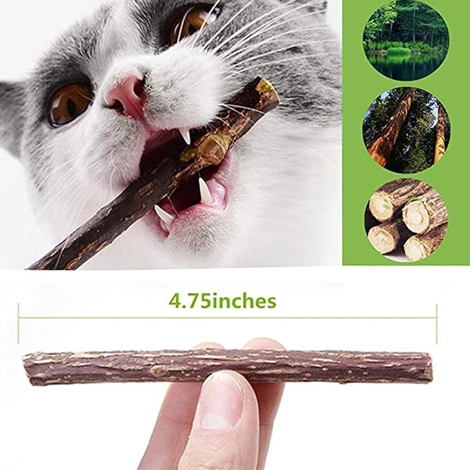 10 PCS Catnip Sticks Organic Cat Chew Toys Natural Plant Matatabi Silvervine Chew Sticks Teeth Cleaning Chew Toy Kitten Kitty