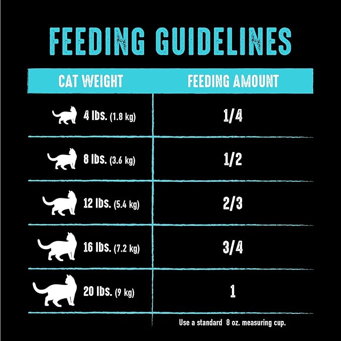 CRAVE Grain Free Adult High Protein Natural Dry Cat Food with Protein from Salmon & Ocean Fish, 2 lb. Bag