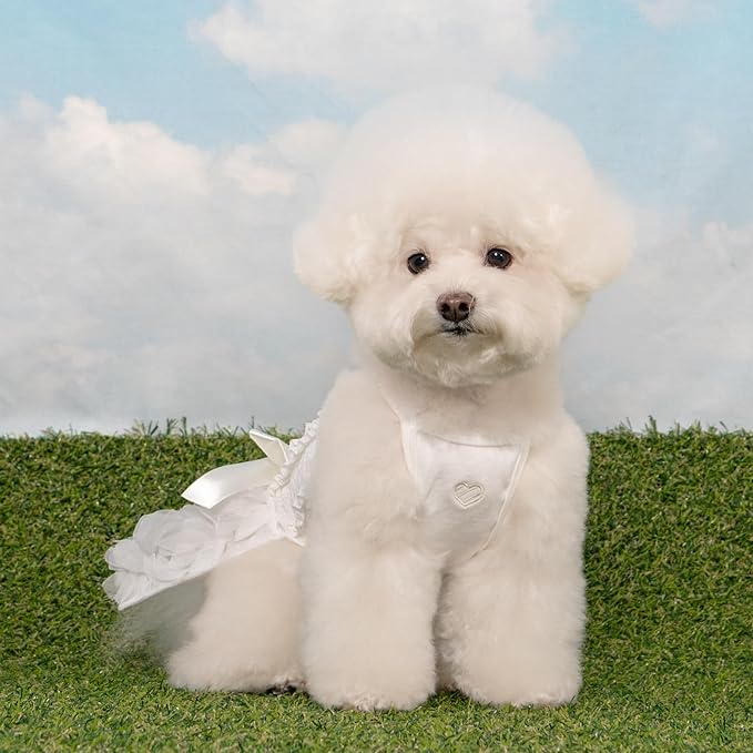 Pinkaholic New York Otelia Dog One-Piece Dress Trendy Fashionable Cute Elegant Dog Apparel for Small Dogs, Ivory, Small