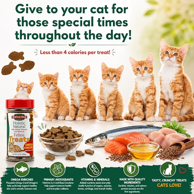Bench & Field Holistic Natural Healthy Kitty Cat Treats | Crunchy Fish-Shaped Bites | Delicious Seafood Flavored Snack, 3-Ounce Bottle