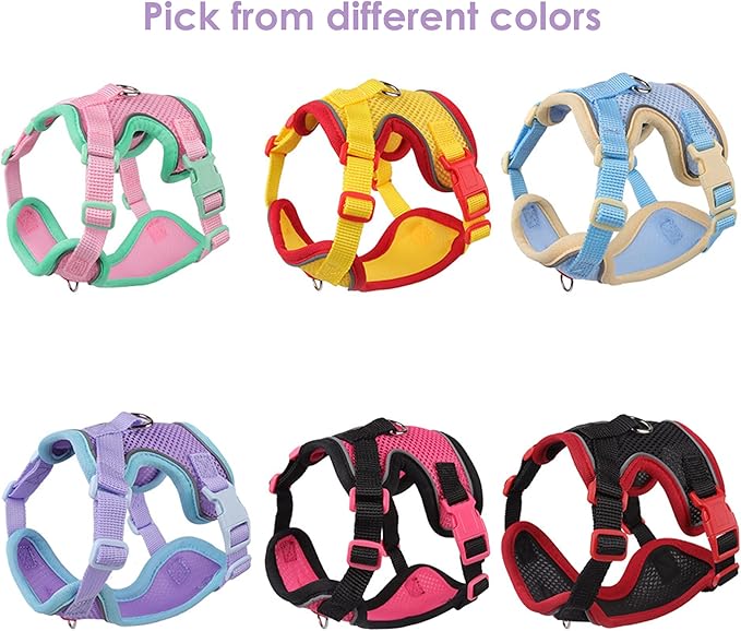Cat Harness and Leash Set for Walking – Escape-Proof Reflective Vest for Cats and Small Dogs, Adjustable Soft Air Mesh with Pressure-Reducing Design, 4.92ft (Blue & Purple, S)