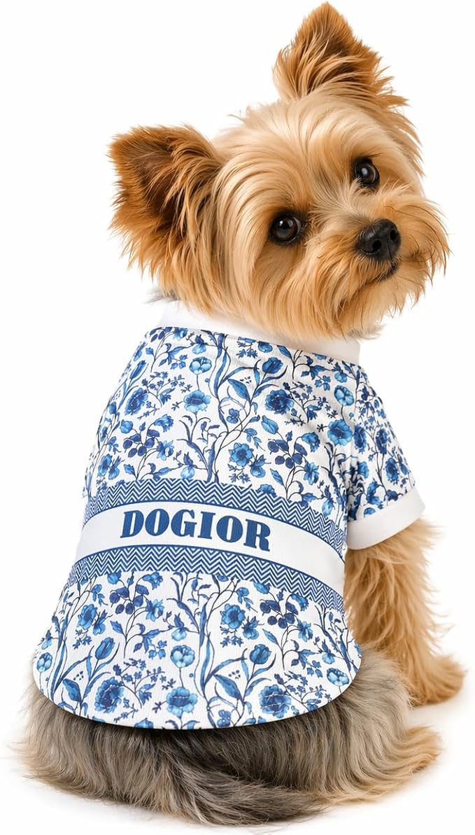Luxury Designer Dog T Shirt – Trendy Puppy Clothes for Small Dogs, Fashion Pet Tee for French Bulldogs & Chihuahuas, Everything Chic Dog Apparel