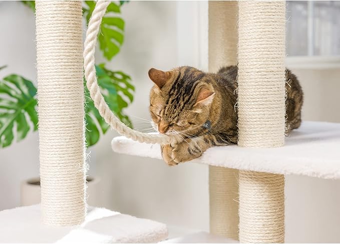 Armarkat B8201 Classic Real Wood Cat Tree in Ivory, Multi Levels with Ramp, Three Perches, Rope Swing, Two Condos