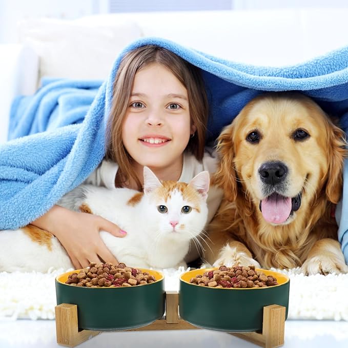 Beavorty Ceramic Elevated Cat Bowl with Dual Color Matte Finish, Green and Yellow Inner Bowls, Small Double Dish Set with Wooden Stand for Household Pet Feeding and Watering