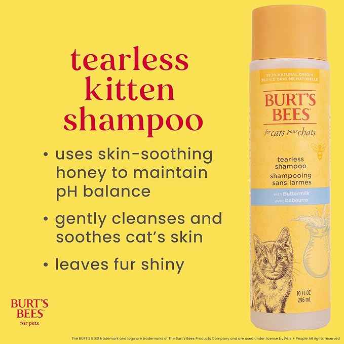 Burt's Bees for Pets Tearless Kitten Shampoo with Buttermilk and Honey, 99% Natural Origin Gentle Cat Shampoo for Sensitive and Itchy Skin, pH Balanced and Fragrance-Free, 10 Fl Oz - 6 Pack