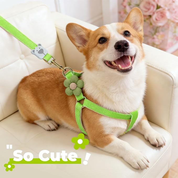 PETCARE Cute Flower Dog Harness and Bowtie Leash Set Easy Walk Puppy Dog Halter Harnesses for Small Dogs Boy Step in Dogs Harness with Buckle (Green, Chest Adjustable 13"-20", Rope Width 0.79")