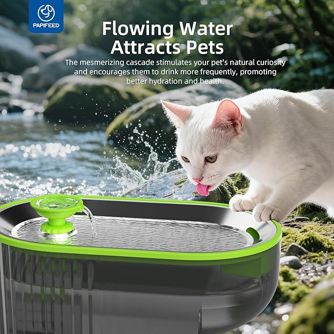 PAPIFEED Cat Water Fountain Stainless Steel with a Silicone Mat, 84oz/2.5L Automatic Pet Water Fountain with LED Water Level Window, Quiet Low Power Cat Water Bowl & Cat Water Dispenser (Green)