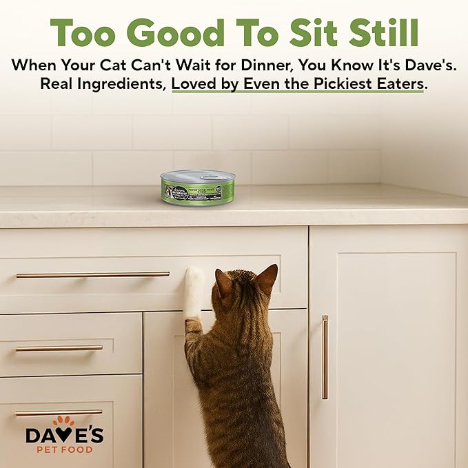 Dave's Pet Food Grain Free Wet Cat Food (Farmyard Fowl, Chicken & Duck), Made in USA Naturally Healthy Canned, Added Vitamins & Minerals, 5.5 oz Cans (24 Pack)