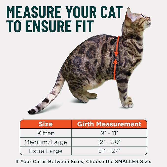 Houdini™ Escape Proof Cat Harness and Leash Set by OutdoorBengal – Orange, Large Cat Harness for Walking Big Cats