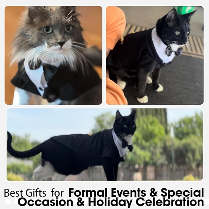 QBLEEV Cat Tuxedo Outfit, Formal Cat Suit Costume with Bow Tie, Sphynx Hairless Clothes for Cats Only, Kitten Wedding Birthday Party Attire Apparel for Male Boy, Cute Small Pet Gentleman Formal Wear