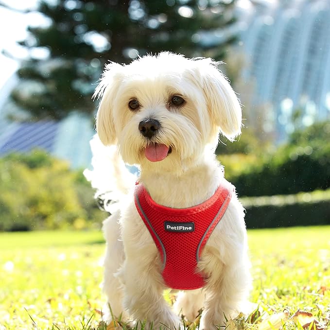 PetiFine Step in Small Dog Harness and Leash Set, Breathable All Weather Air Mesh Reflective Escape Proof, Step-in Vest Harnesses for Puppy(S, Red)