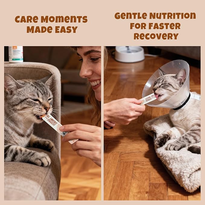 Havira Healthy Lickable Creamy Cat Treats Urinary Help – Chicken & Salmon Flavor Squeeze Treats with Cranberry & DL-Methionine, Functional Snacks with Real Shredded Chicken, Grain Free
