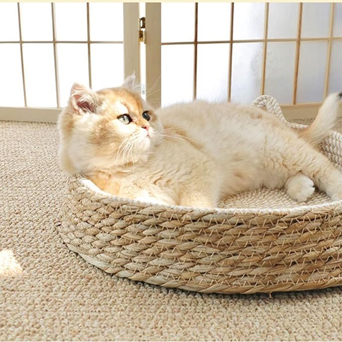 Asixxsix Cat Scratcher, Circular Cat Scratcher Bed with Breathable Mat and Small Ears Design, for Indoor Cats to Scratch Play and Lounge, Furniture Protector for Sofa Chair (L)