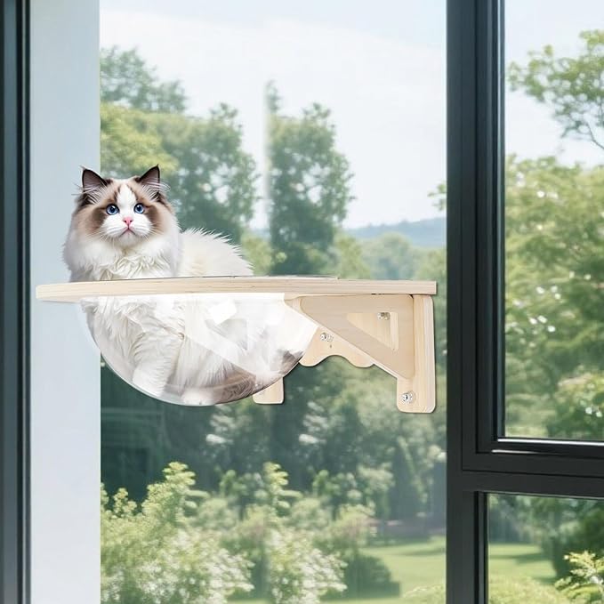 Cat Hammock, Wall Mounted Bamboo Cat Wall Furniture, Extra Large Cat Space Capsule Bed, Durable Transparent Cat Beds & Furniture for Adult Cats, 40+ lbs Capacity