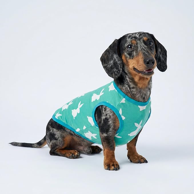 Fitwarm Easter Bunny Dog Shirt, Dog Clothes for Small Dogs Boy Girl, Pet Cat Holiday Outfit, Teal Green, XL