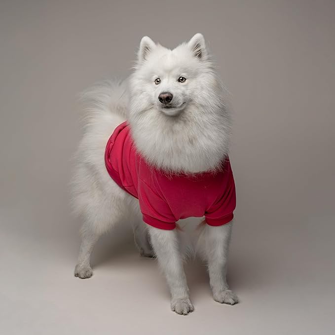 Support Squad Dog Hoodie | Fleece Lined |Leash Hole| Pink October | Breast Cancer. | Awareness & Support|Hot Pink, 5X-Large 1411