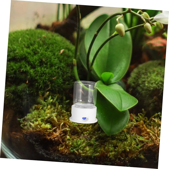 Automatic Ant Water Feeder Medium Ant Watering Station and Practical Design in Environment