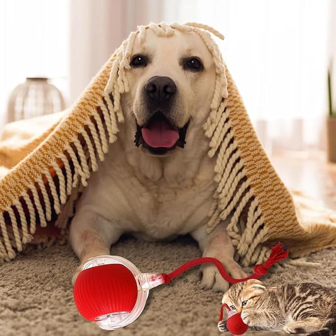 Interactive Rolling Cat Ball, 360° Automatic Smart Pet Toy with Obstacle Avoidance, LED Light, Type-C Rechargeable, Safe Durable Chew Toy for Cats & Small Dogs
