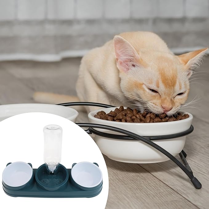 Elevated Double Bowl Pet Feeders with Automatic Water Dispenser Antislip Base for Dog Cats Daily Feeding Watering Supply